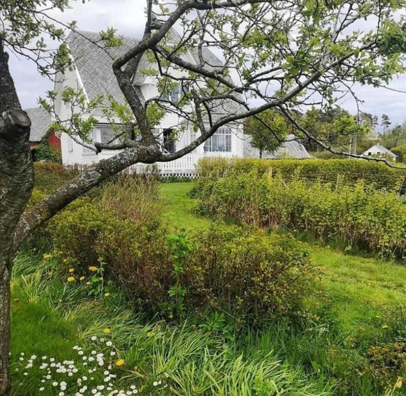 Shared Farmhouse Stavanger Luaran gambar