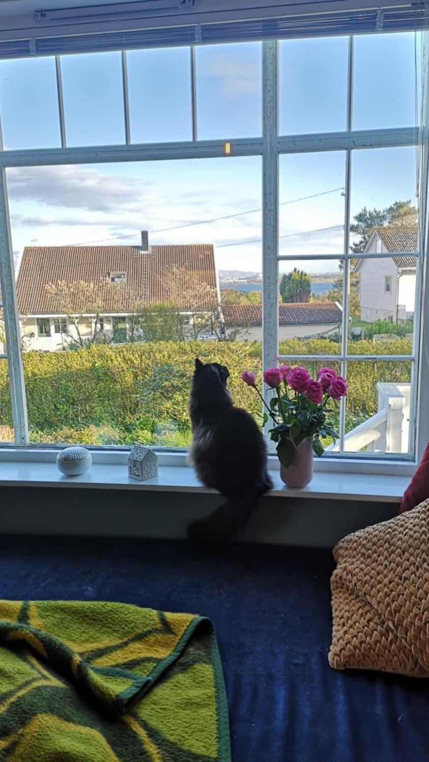Shared Farmhouse Stavanger Luaran gambar